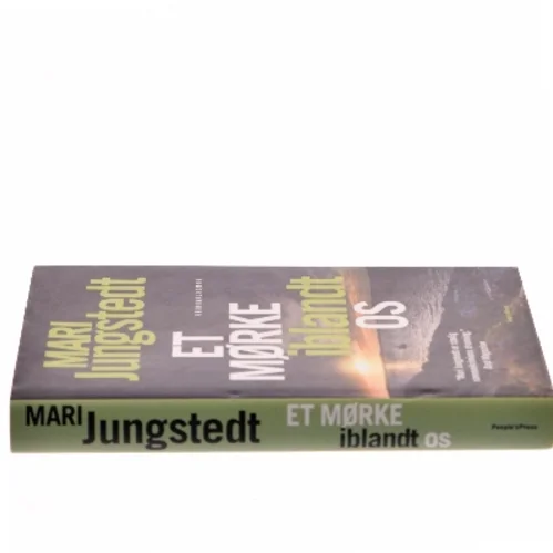 Et mørke iblandt os : kriminalroman af Mari Jungstedt (Bog)
