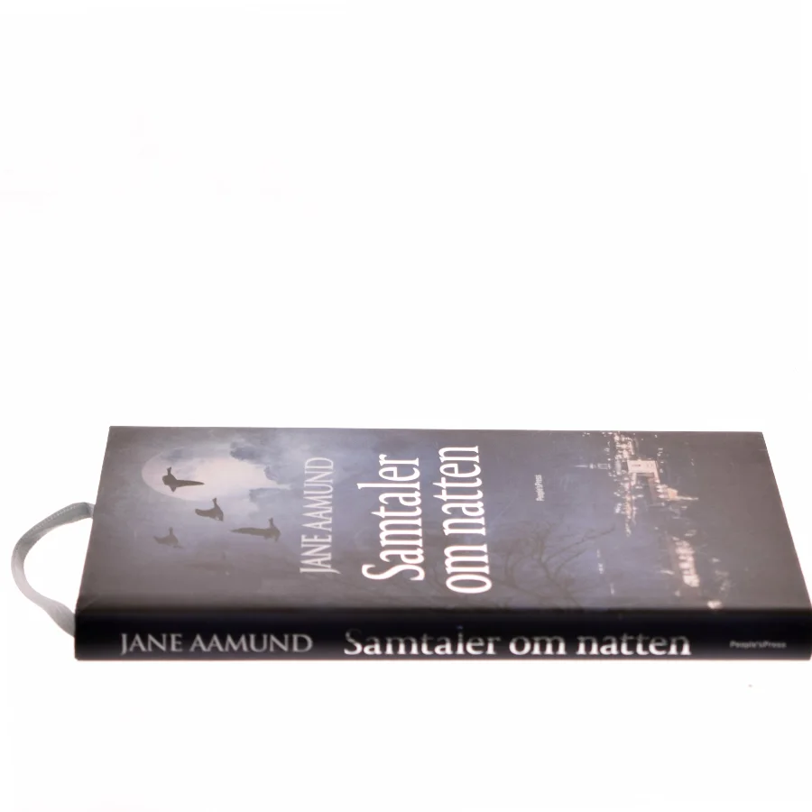Samtaler om natten af Jane Aamund (Bog)