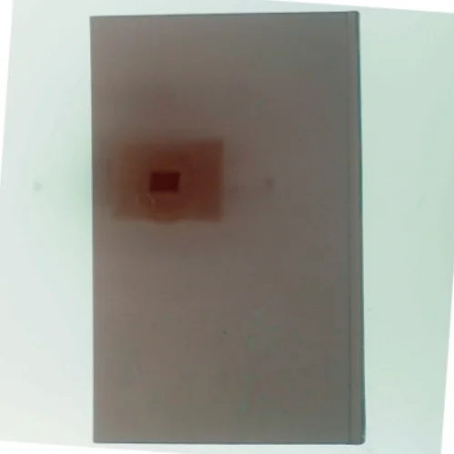 Natur og Menneske af <Bogens forfattere> (Bog)