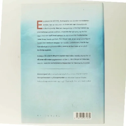 Dronningeofret : roman af Hanne-Vibeke Holst (Bog)