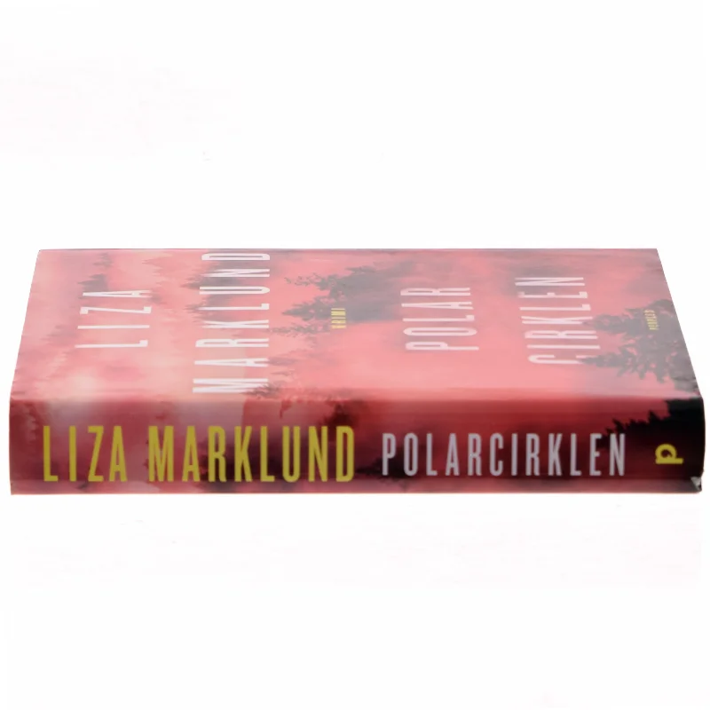 Polarcirklen : kriminalroman af Liza Marklund (Bog)