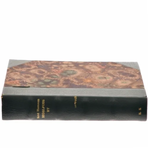 Segelfoss By af <Bogforfattere ukendt fra billedet> (Bog)