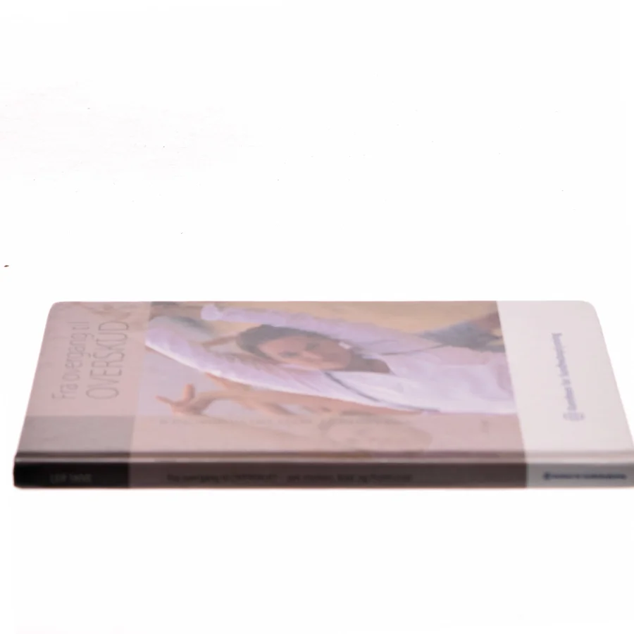 Fra overgang til OVERSKUD af Leif Skive (Bog)