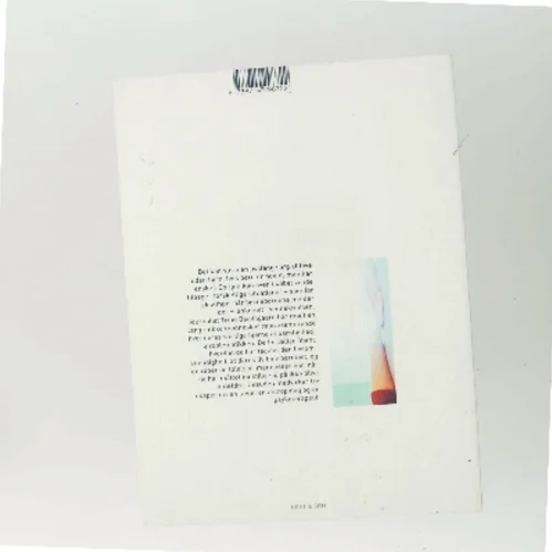 Ingen børn : om at leve med en uopfyldt drøm af Trine Baadsgaard (Bog)