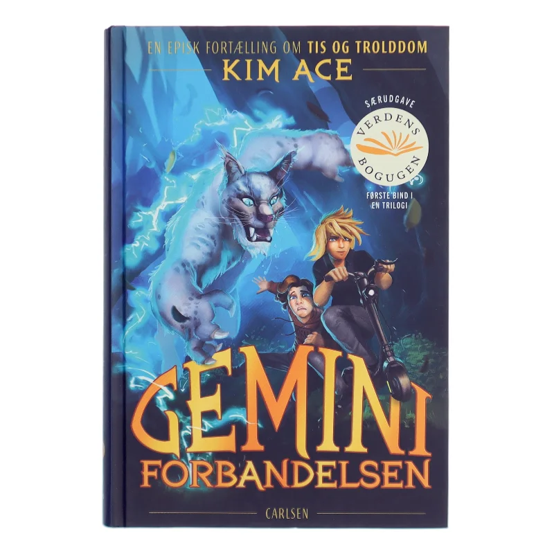 Gemini forbandelsen af Kim Ace (Bog)