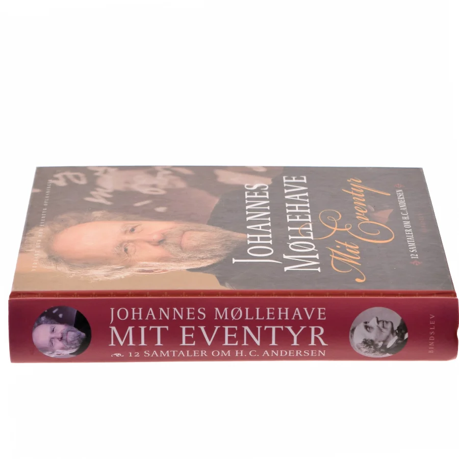 Mit eventyr : 12 samtaler om H.C. Andersen af Johannes Møllehave (Bog)