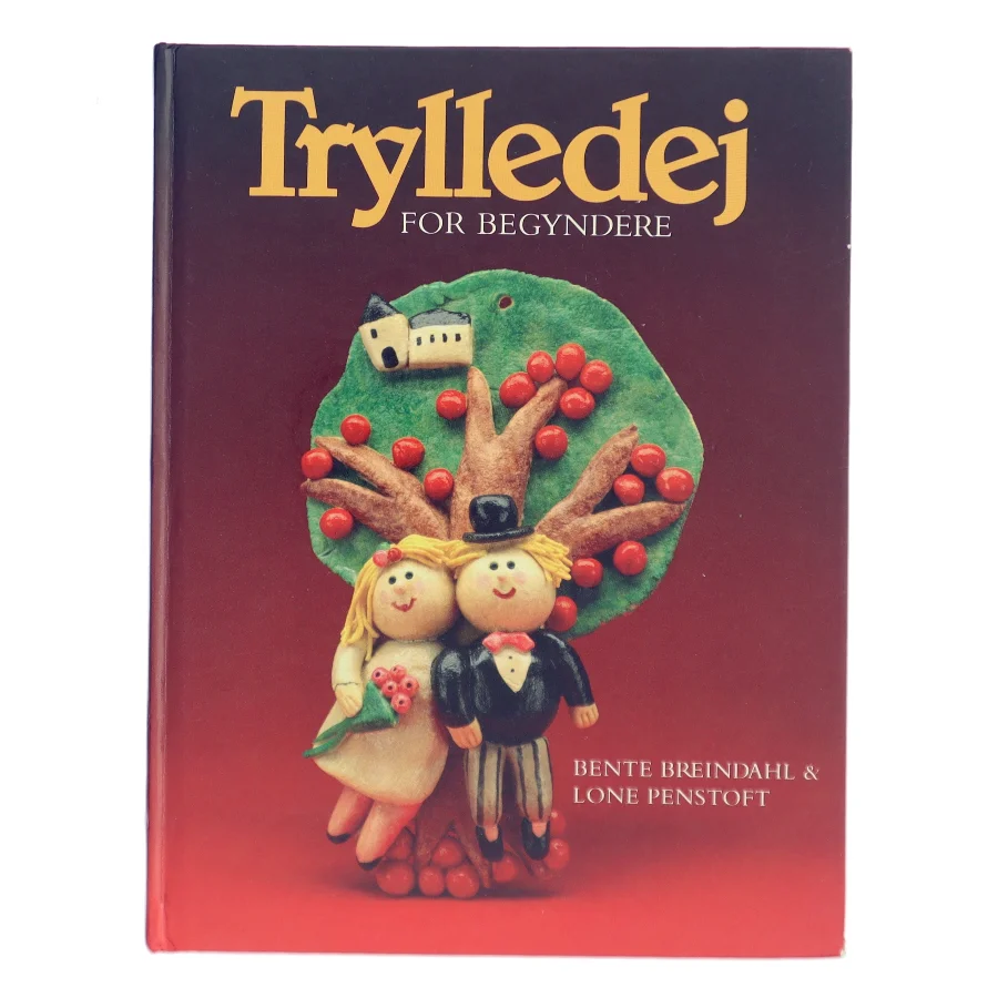 Trylledej for begyndere af Bente Breindahl (Bog)