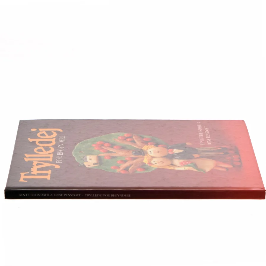 Trylledej for begyndere af Bente Breindahl (Bog)