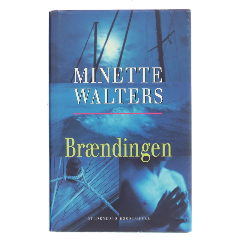 Brændingen : kriminalroman af Minette Walters (Bog)