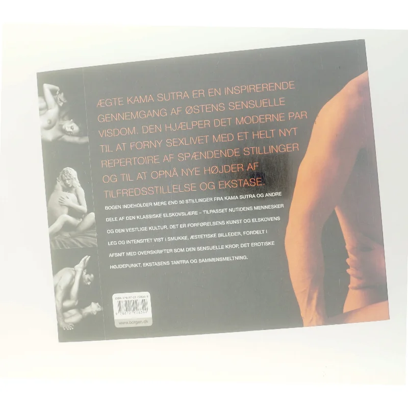 Ægte Kama Sutra : sexlivets hemmeligheder af Nicole Bailey (Bog)