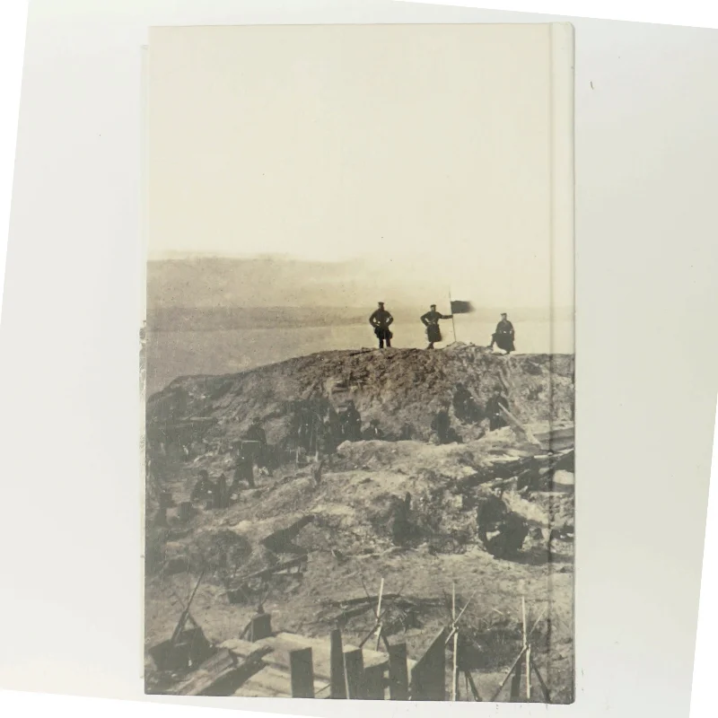 Slagtebænk Dybbøl af Tom Buk-Swienty (Bog)