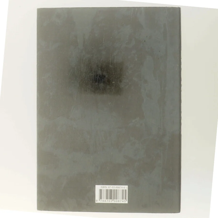 Isprinsessen : kriminalroman af Camilla Läckberg (Bog)