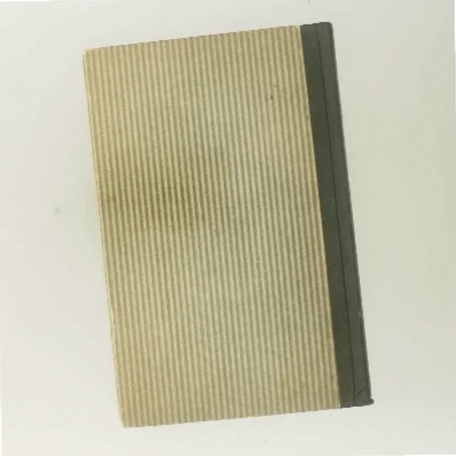 Q-dokumentet af James Hall Roberts (Bog)