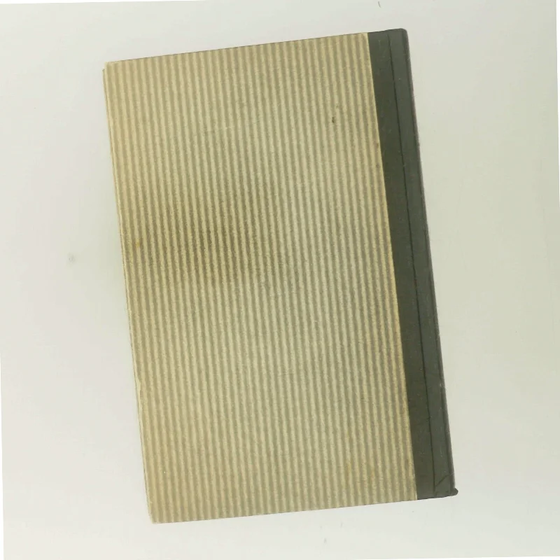 Q-dokumentet af James Hall Roberts (Bog)