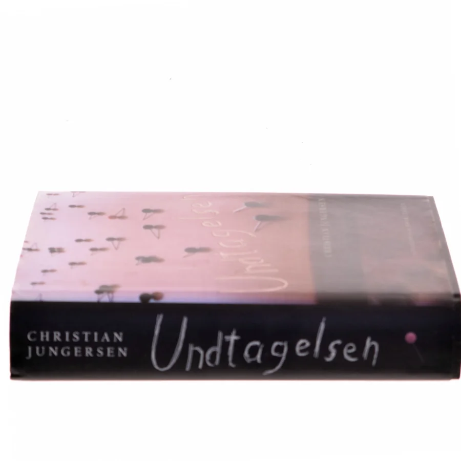 Undtagelsen : roman af Christian Jungersen (Bog)