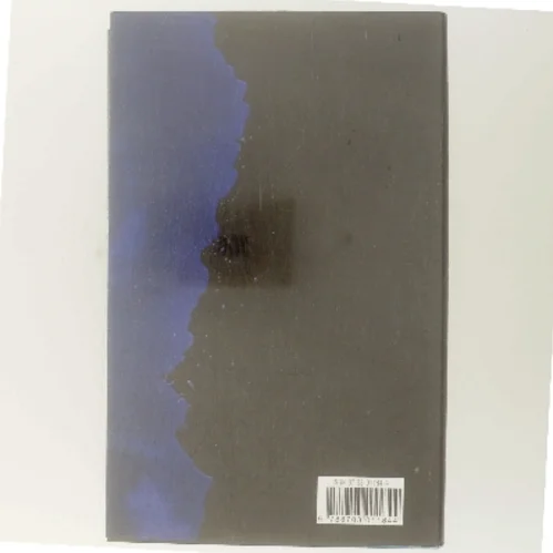 Om et øjeblik i himlen (Bog)