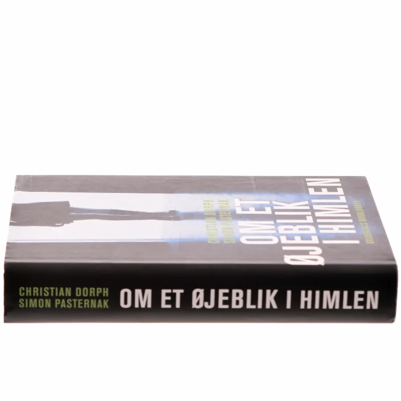 Om et øjeblik i himlen (Bog)