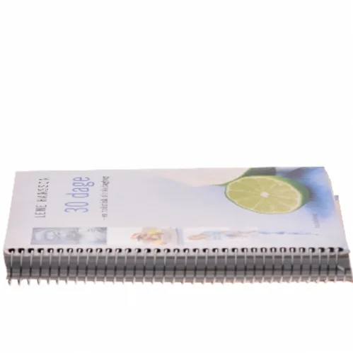 30 dage af Lene Hansson (Bog)