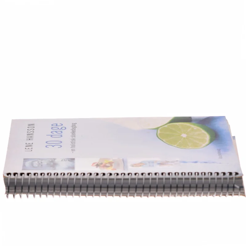 30 dage af Lene Hansson (Bog)