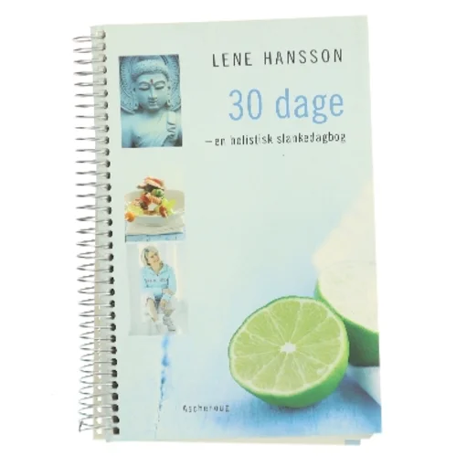 30 dage af Lene Hansson (Bog)