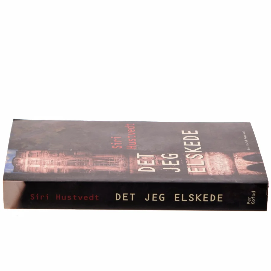 Det jeg elskede : roman af Siri Hustvedt (Bog)