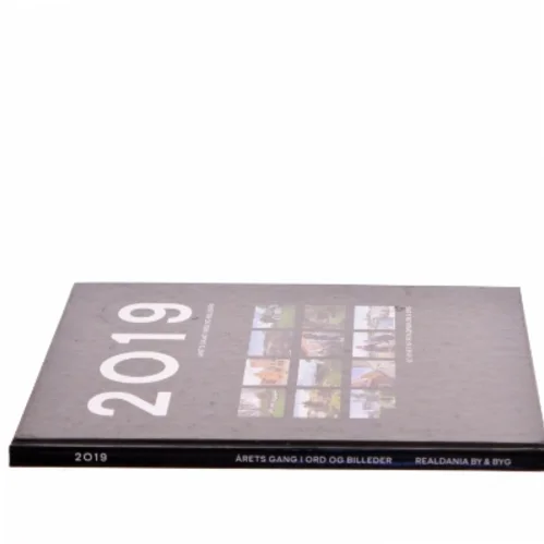 2019 Årets gang i ord og billeder (Bog)