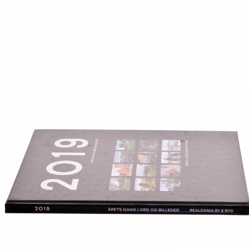 2019 Årets gang i ord og billeder (Bog)