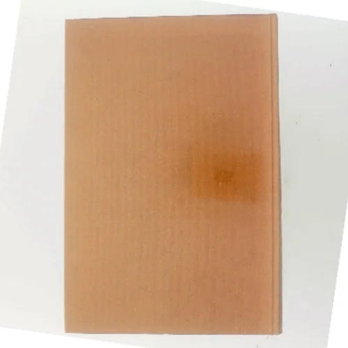 Tilsidst taler tavsheden af Errol Trzebinski (Bog)