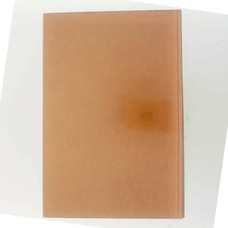 Tilsidst taler tavsheden af Errol Trzebinski (Bog)