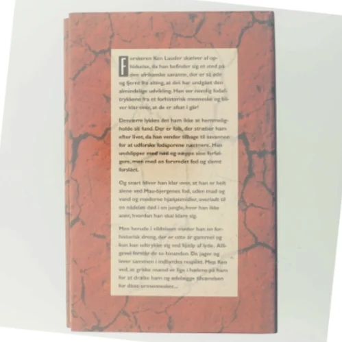 Et aftryk fra fortiden af Petru Popescu