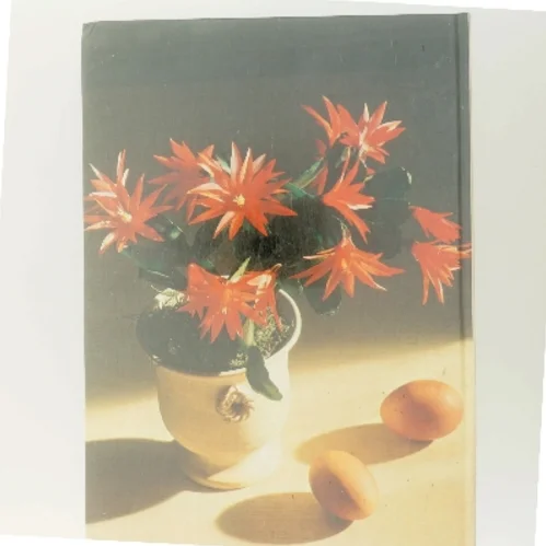 Forår i huset (Bog)