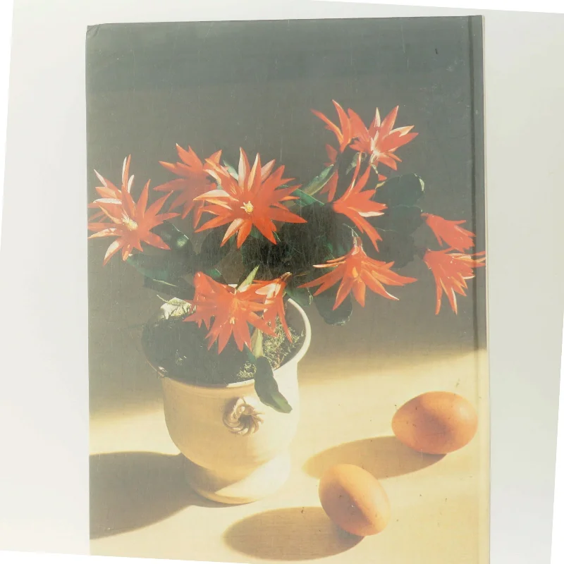 Forår i huset (Bog)