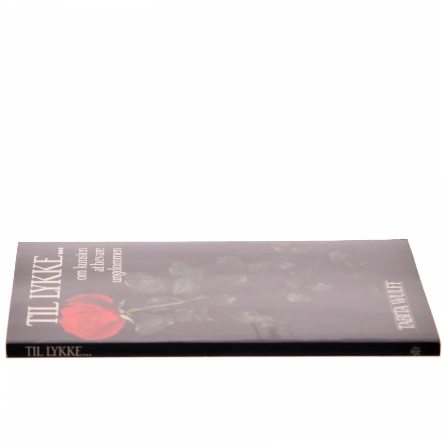 Til Lykke... af Tabita Wulff (Bog)