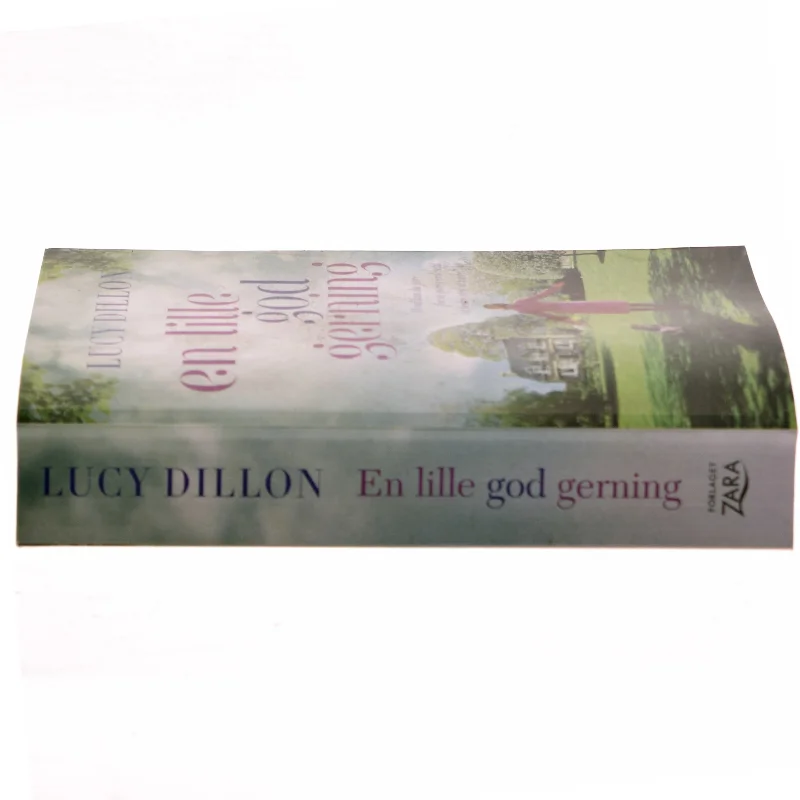 En lille god gerning af Lucy Dillon (Bog)