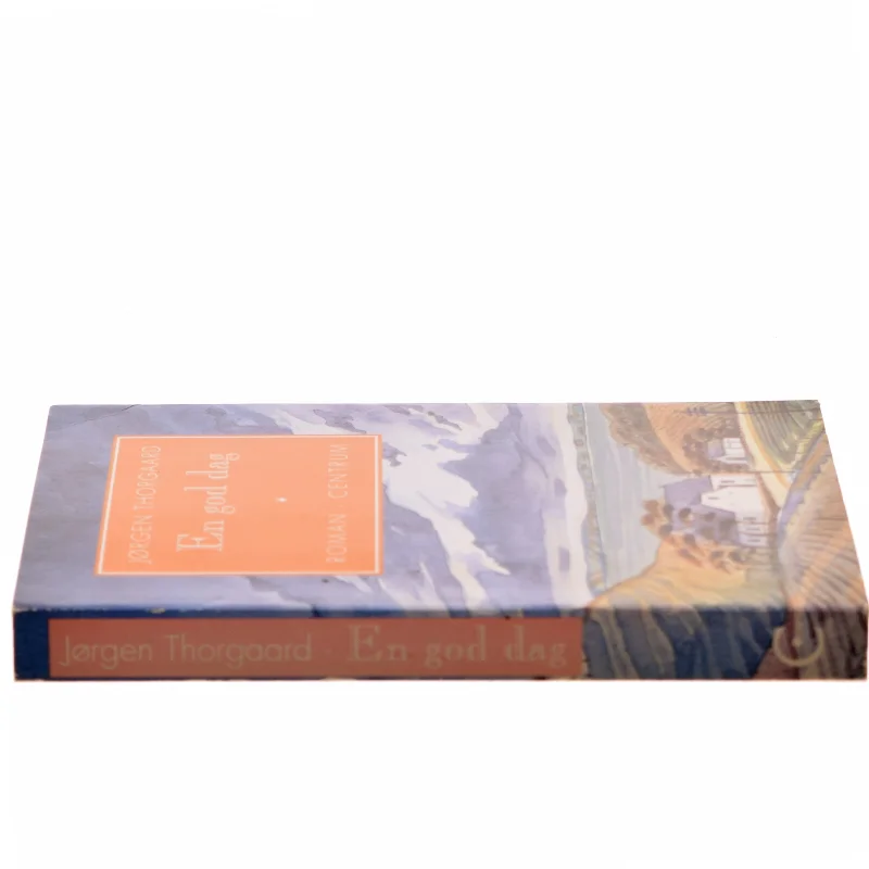 Skønlitterær roman 'En god dag'