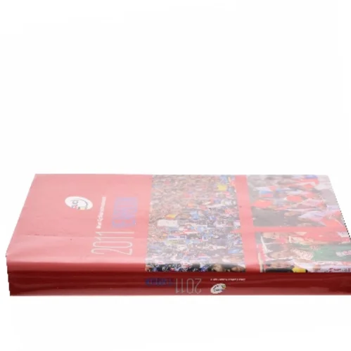 UCI 2011 Yearbook (Bog)