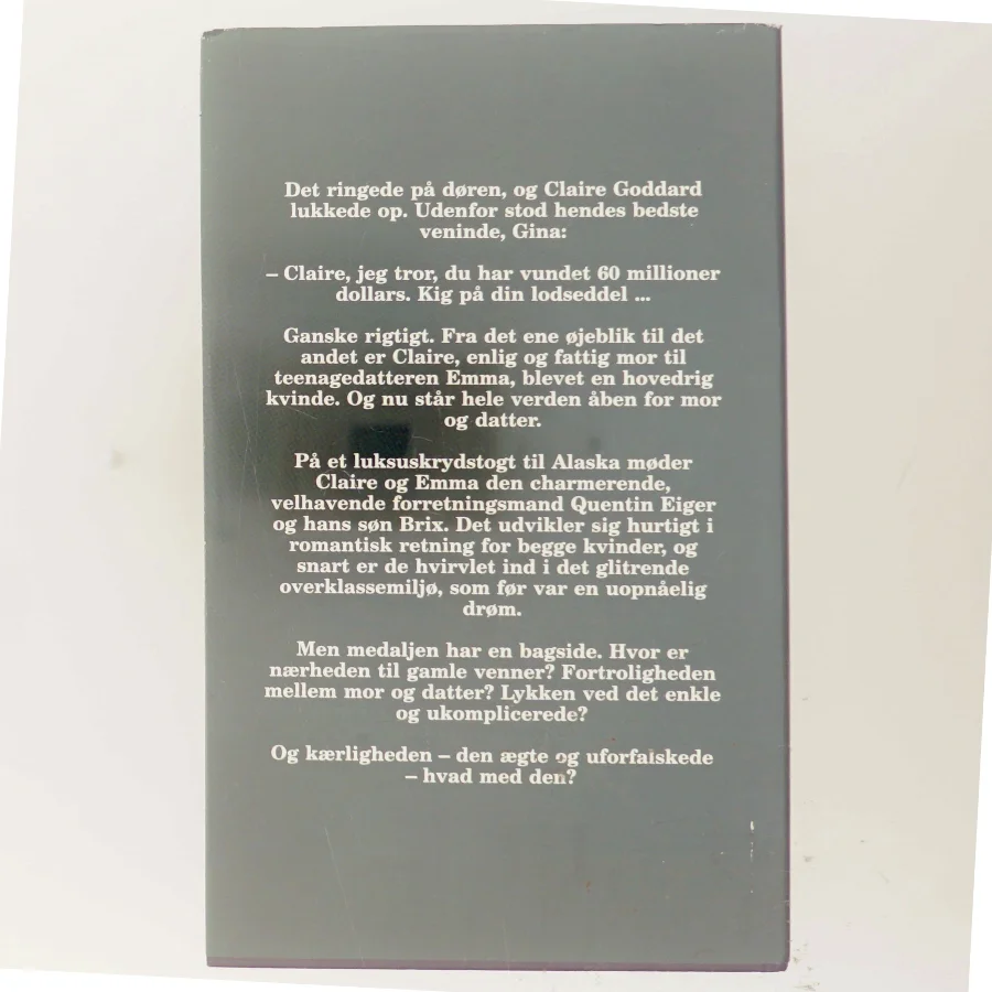 Den store gevinst af Judith Michael