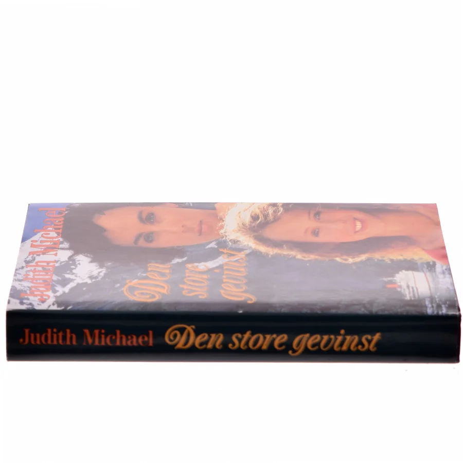 Den store gevinst af Judith Michael