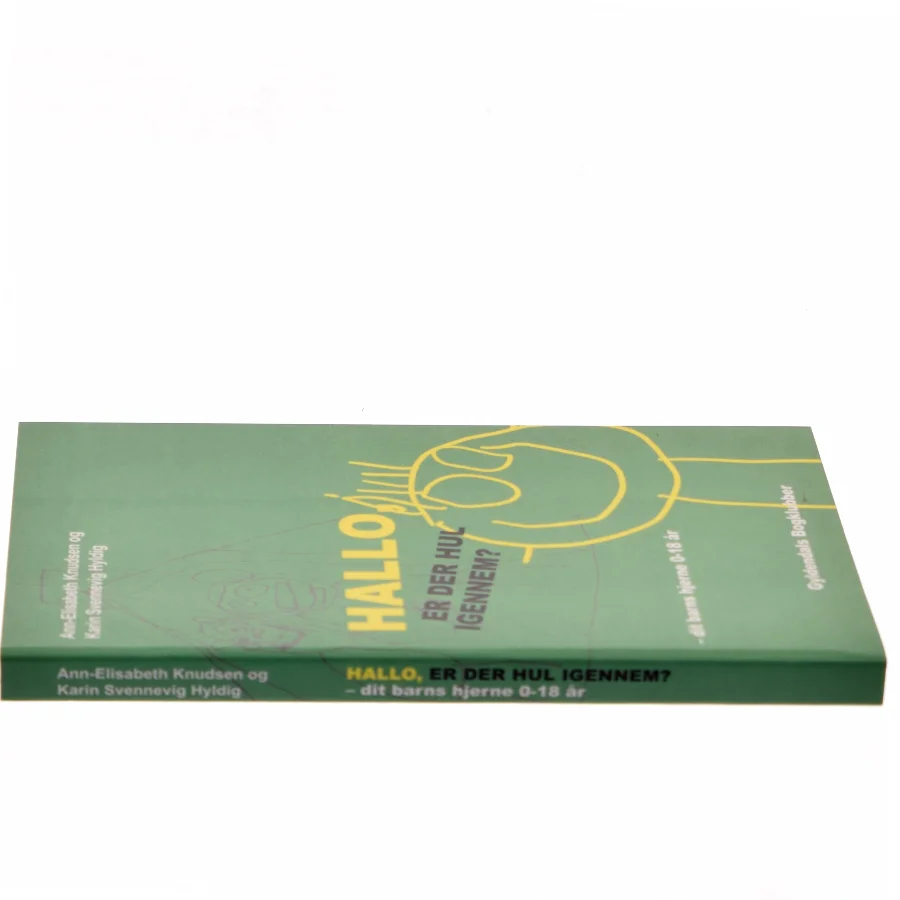 Hallo - er der hul igennem? : dit barns hjerne fra 0 til 18 år (Bog)
