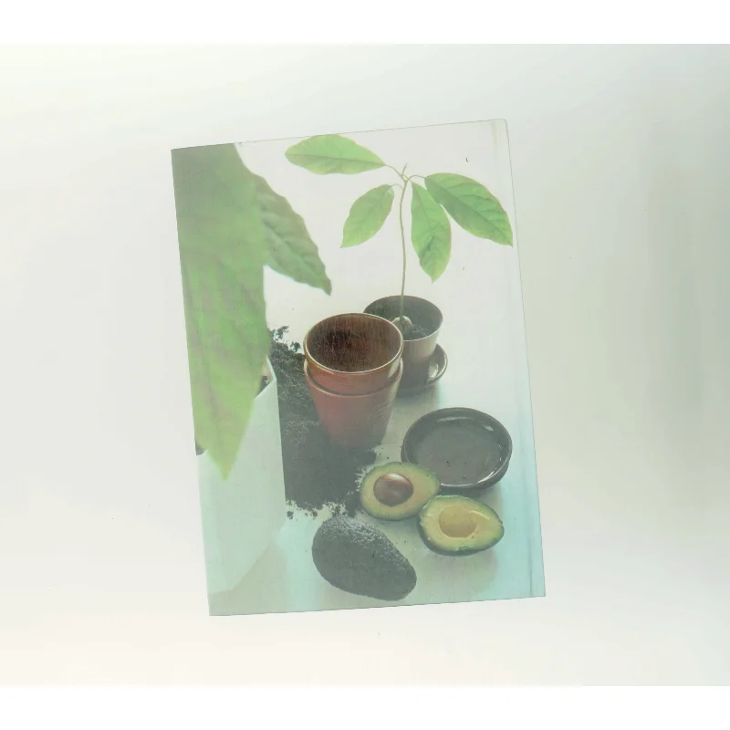 Sjældne frugter (Bog)