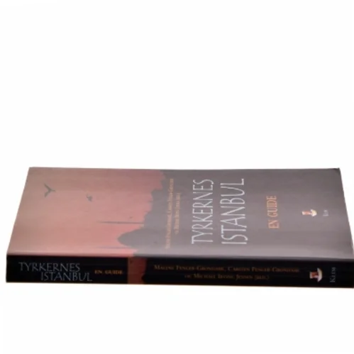 Tyrkernes Istanbul af Malene Fenger-Grøndahl (Bog)