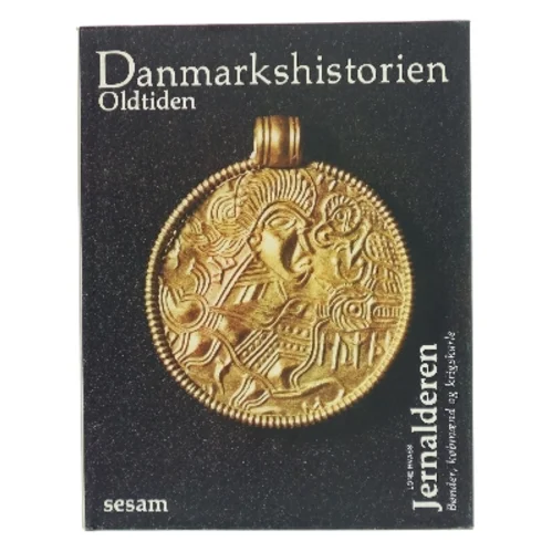 Danmarkshistorien Oldtiden - Jernalderen af Lone Hvass (Bog)