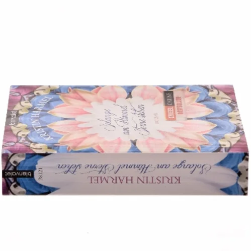 Solange am Himmel Sterne stehen : Roman af Kristin Harmel (Bog)