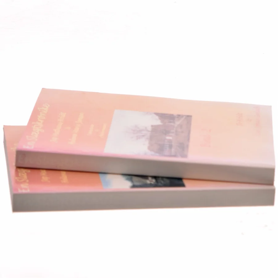 En Slægtskrønike af Ib Holdt (Bog)