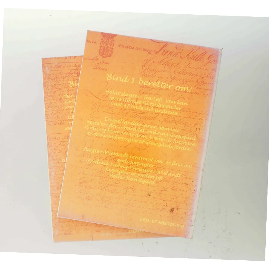 En Slægtskrønike af Ib Holdt (Bog)