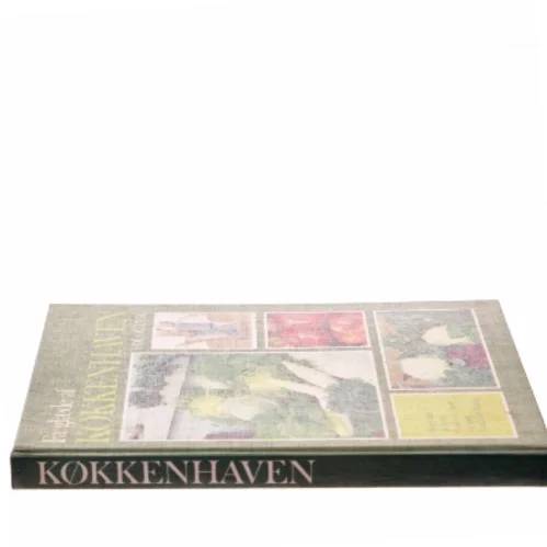 Få glæde af køkkenhaven ude og inde (Bog)