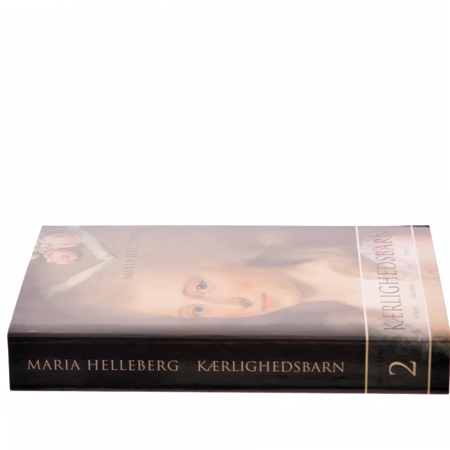 Kærlighedsbarn : roman. Bind 2 af Maria Helleberg (Bog)