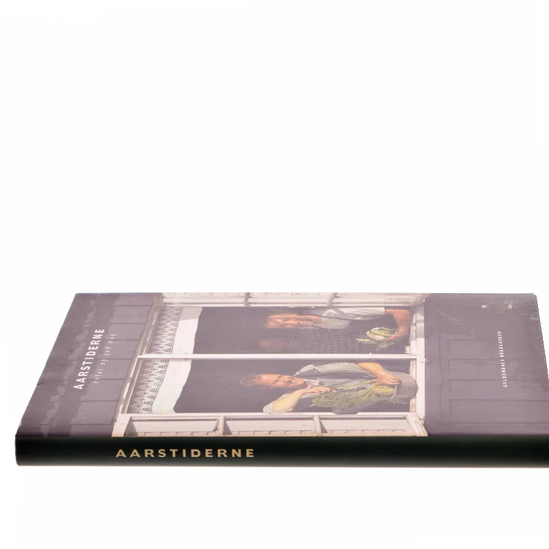 Aarstiderne af Søren Ejlersen (Bog)