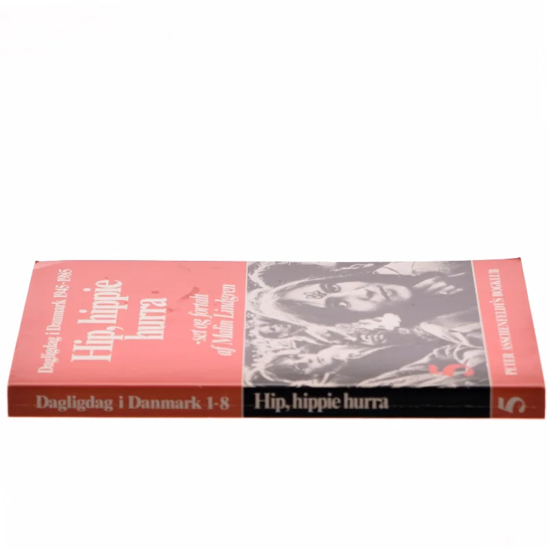 Hip, hippie hurra af Malin Lindgren (Bog)