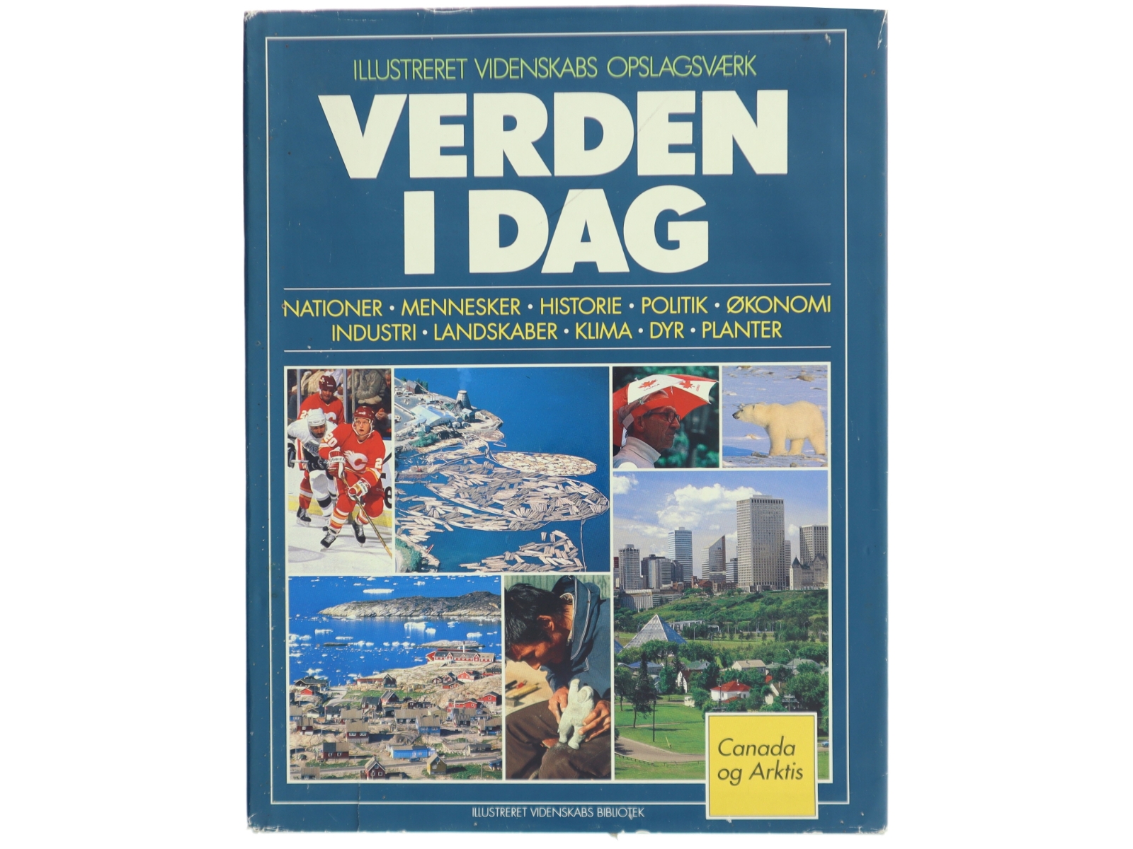 Verden i dag (Bog)